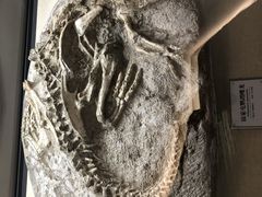 -辽宁古生物博物馆