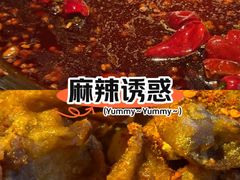 -蜀大侠火锅(春熙路店)