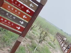 -西青郊野公园