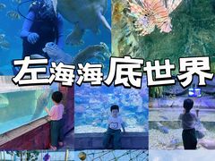 -左海海底世界