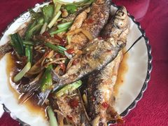 -生态苑农庄(十里画廊遇龙河店)