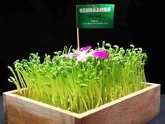 -万达广场(南京江宁店)