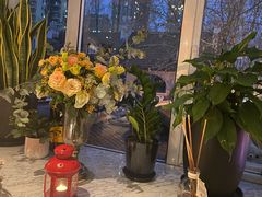 -蝶舍·MAISON PAPILLON