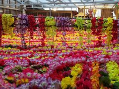 -吉祥圣雪藏餐