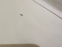 -启东恒大海上威尼斯酒店