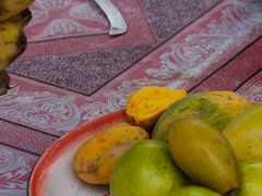 -西双版纳傣族园