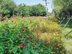 -长春公园(普阳街道)