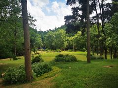 -阿哈湖国家湿地公园