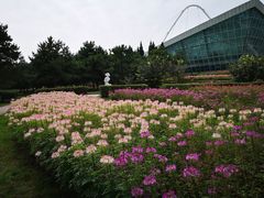 -石家庄市植物园