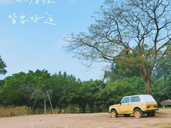 -南沙蒲洲花园