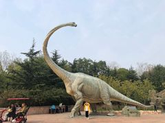 -青岛方特梦幻王国
