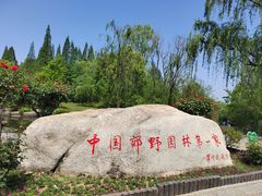 -习家池