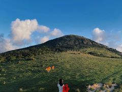 -大姆山草场