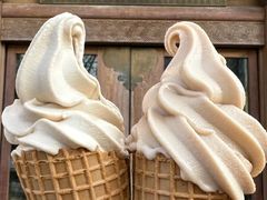 -逗葉茶事·新中式茶饮(创始店)