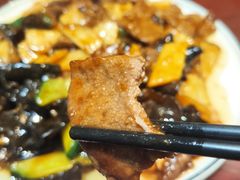 -邵年鸽(杨庄店)