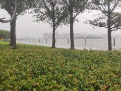 -金鸡湖景区