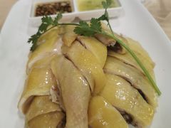 正宗白切鸡-巫记鸡饭店