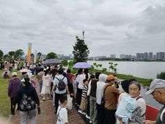 -九龙湖公园