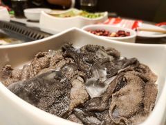 -海底捞火锅(公益西桥店)