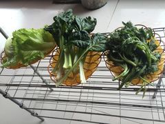 -蘑统田下·野生菌火锅