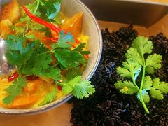 -Wagas沃歌斯(汇智店)