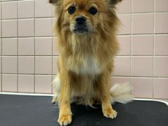 -FAELING PETS美天灵宠物(富力广场店)