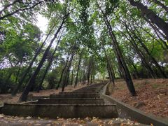 -火炉山森林公园