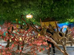 -酷嗒动物文化乐园(cutezoo西溪乐天城店)