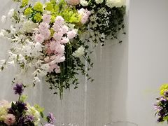 -唐苑酒家·岭南粤菜名店(太古仓店)