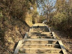 -宝通禅寺