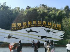 -西双版纳原始森林公园