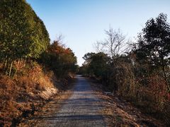 -南京市无想山景区