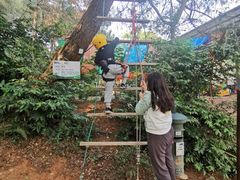 -芦仙山景区-飞越丛林探险乐园