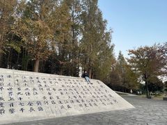 -澹台湖公园