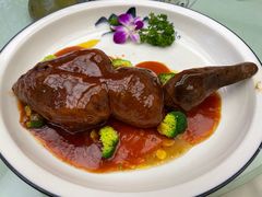 -丁老爷子苏香圆