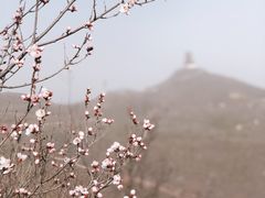 -定都峰