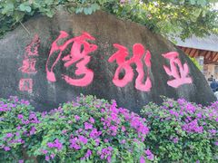 -亚龙湾热带天堂森林公园