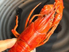 -红盔甲·小龙虾(昌里路店)