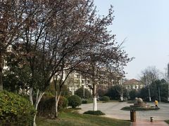 -重庆长寿碧桂园凤悦凤凰酒店