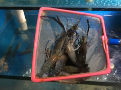 -Thai Basil罗勒叶泰式餐厅(时代天街店)