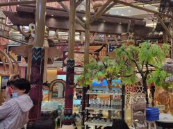 -卡通尼·Safari非洲探索乐园·生日会(金桥国际商业广场店)