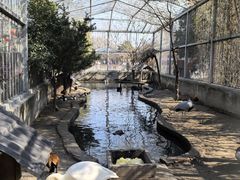 -水绘园