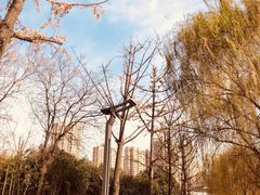 -西安汉城湖景区