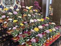 -小榄公饭店·岭南庭院餐厅(民安北路店)