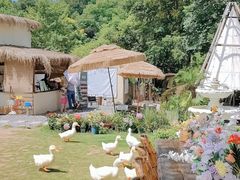 -HERRE·FARM 赫尔露营农场·团建聚会包场