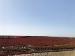 -红海滩国家风景廊道