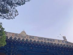 -洛阳白马寺