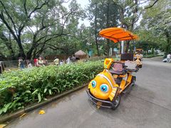 -深圳野生动物园