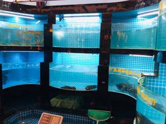 水产区-千岛湖小鱼儿·淳安匠心农家菜