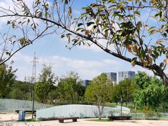 -昆山城市生态森林公园